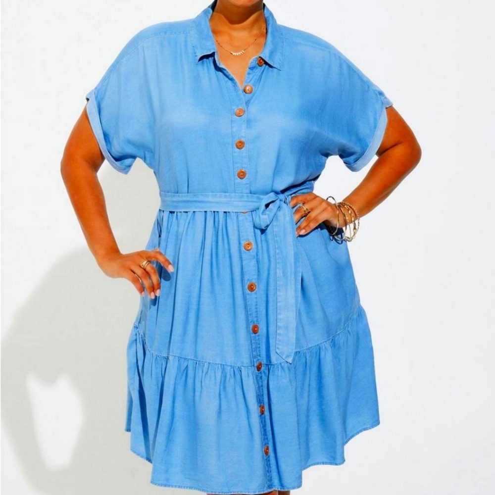 Torrid chambray dress